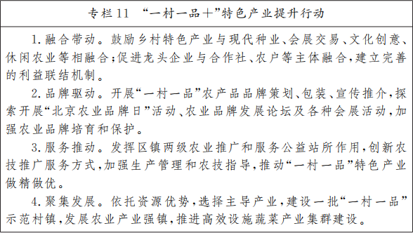 专栏11 专栏11.png